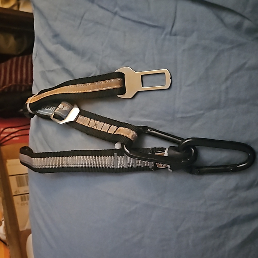 Seat belt tethers for dog
